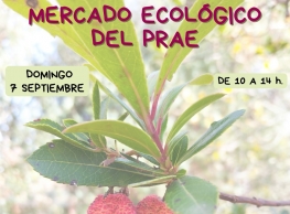 Mercado Ecológico en el PRAE