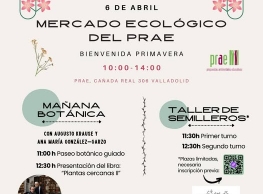 "Mercado ecológico especial" en el PRAE