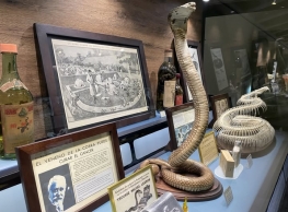 Visita guiada a la exposición "Veneno que cura, veneno que mata" en el Museo de la Ciencia
