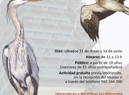 Taller de observación de aves en el Museo de la Ciencia