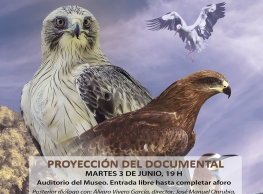 Documental "Valladolid paisajes ornitológicos" 