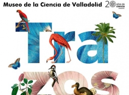 Escuela de Verano: "Donde no llegan las palabras"