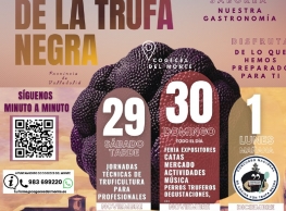 V Feria de la Trufa en Cogeces del Monte