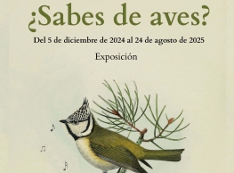 Exposición: “¿Sabes de aves?"