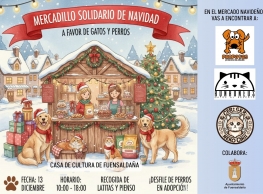 Mercadillo Solidario de Navidad en Fuensaldaña