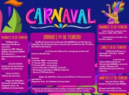 Carnaval 2026 en Nava del Rey