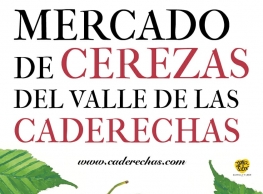 "Mercado de cerezas" en Miranda de Ebro