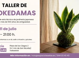 Taller de kokedamas