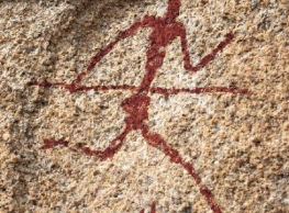 Actividades en el Museo de la Evolución Humana