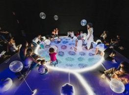 Zig Zag Danza presenta “Mimesis”