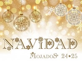 Navidad en Mojados 24-25