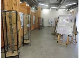 Aula de Medio Ambiente Caja de Burgos 