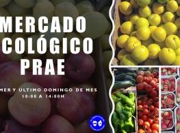 "Mercado ecológico" en el PRAE