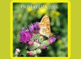 Excursiones didácticas en la provincia de Segovia