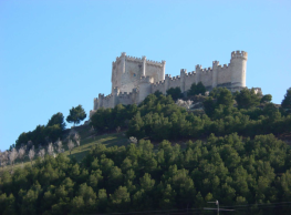 Visita al Castillo y al Museo Provincial del Vino