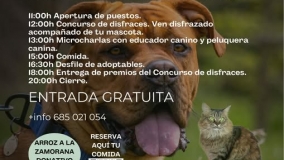 Ciganimalada en Cigales