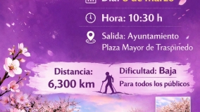 Ruta de los Almendros en Flor en Traspinedo