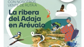 Ruta La Ribera del Adaja en Arévalo