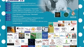 Feria del Caballo en Nava del Rey