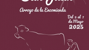 Fiestas de San Juan en Arroyo de la Encomienda