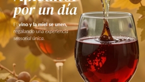 "Apicultor por un día" en Valoria la Buena 