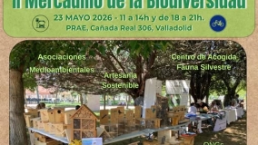 Mercadillo de la Biodiversidad en el PRAE Mercadillo de la Biodiversidad en el PRAE