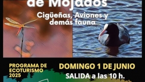 Ecoturismo en Mojados