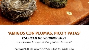 Talleres "Escuela de Verano "Amigos con plumas, pico y patas"