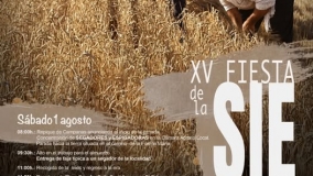 XV Fiesta de la Siega en Nava del Rey