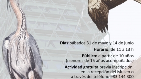 Taller de observación de aves en el Museo de la Ciencia