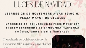 Encendido de luces de Navidad