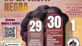 V Feria de la Trufa en Cogeces del Monte