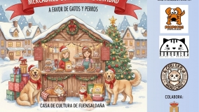 Mercadillo Solidario de Navidad en Fuensaldaña
