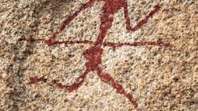 Actividades en el Museo de la Evolución Humana