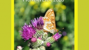 Excursiones didácticas en la provincia de Segovia