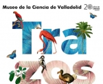 Escuela de Verano: "Donde no llegan las palabras"