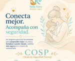 Círculo de Seguridad Parental en Nido Koru