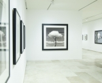 Chema Madoz "La naturaleza de las cosas y su eco en la colección”
