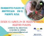 Reabierto el plazo de matrícula en el Puente Azul